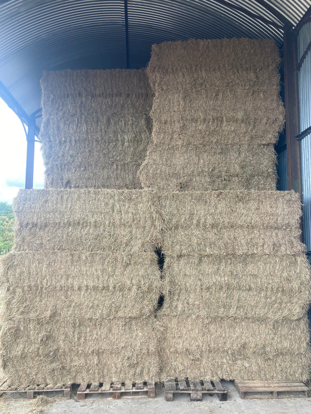 September hay