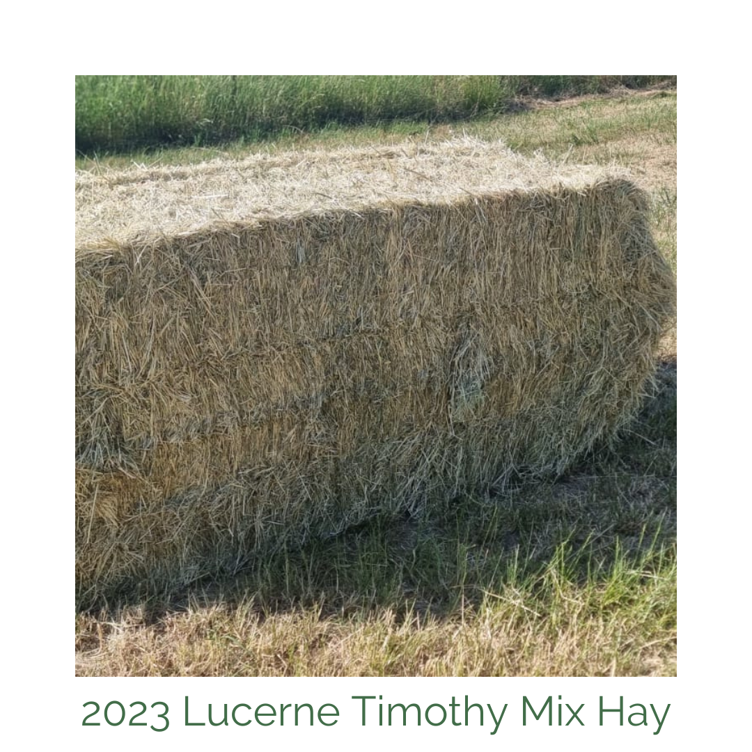 Products – Horsley Haylage