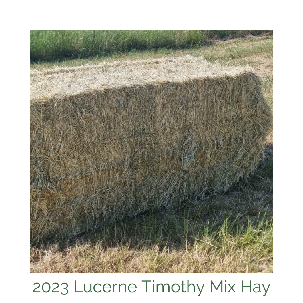 Lucerne Timothy mix hay