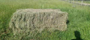 2023 Meadow Hay