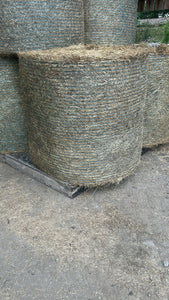 Meadow hay ROUND bales