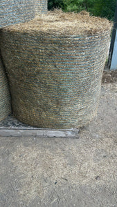 Meadow hay ROUND bales